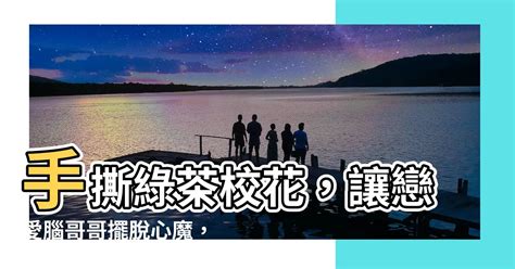 江念 江衡 周寂|瞬间时空（江念江衡周寂）全文免费阅读无弹窗大结局